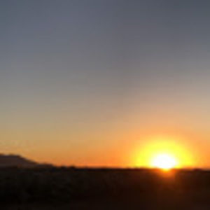 Meet your Posher, Jade